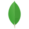Mongodb
